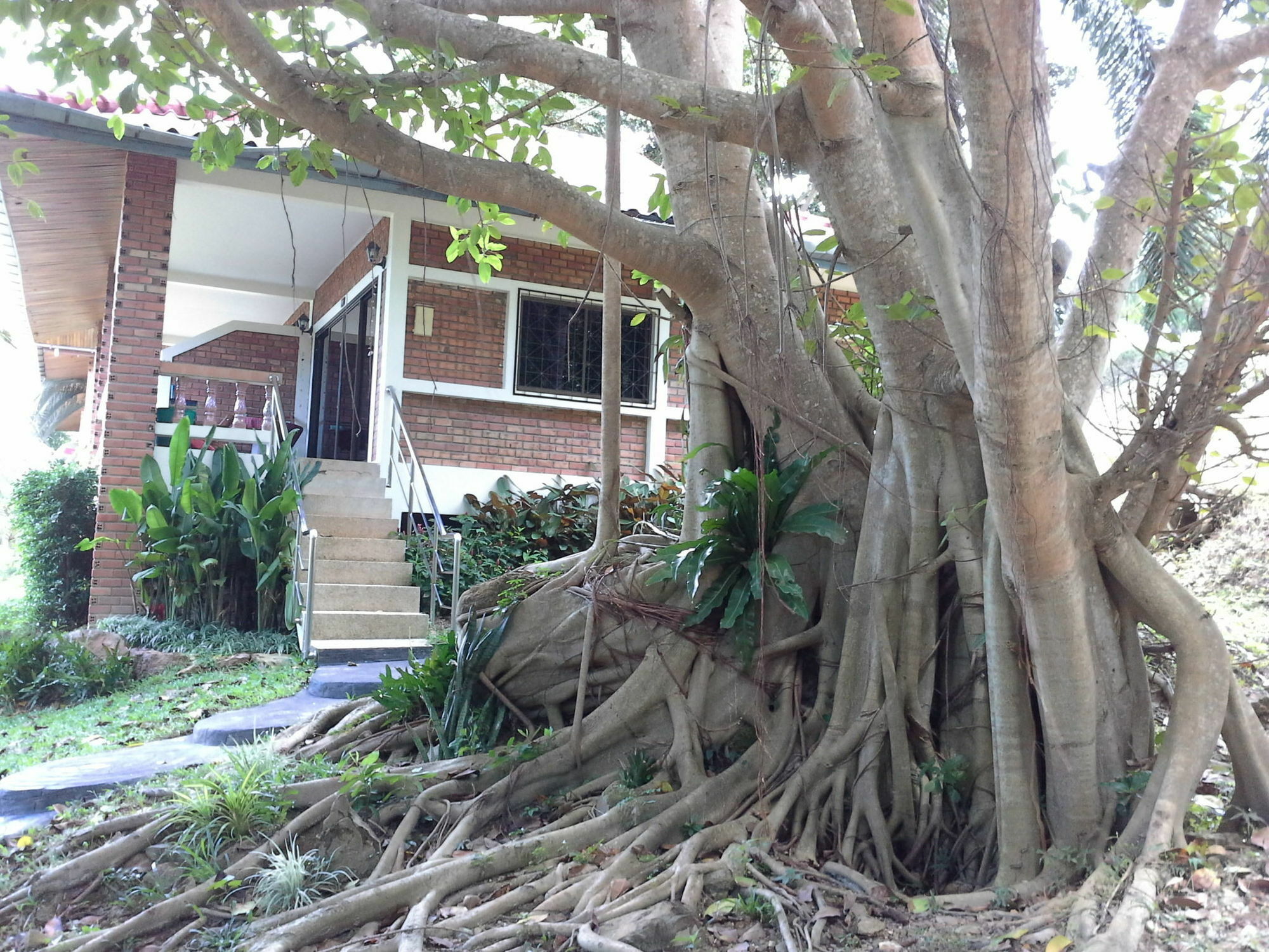 Freedom Estate Sea View Apartments Koh Lanta Bagian luar foto