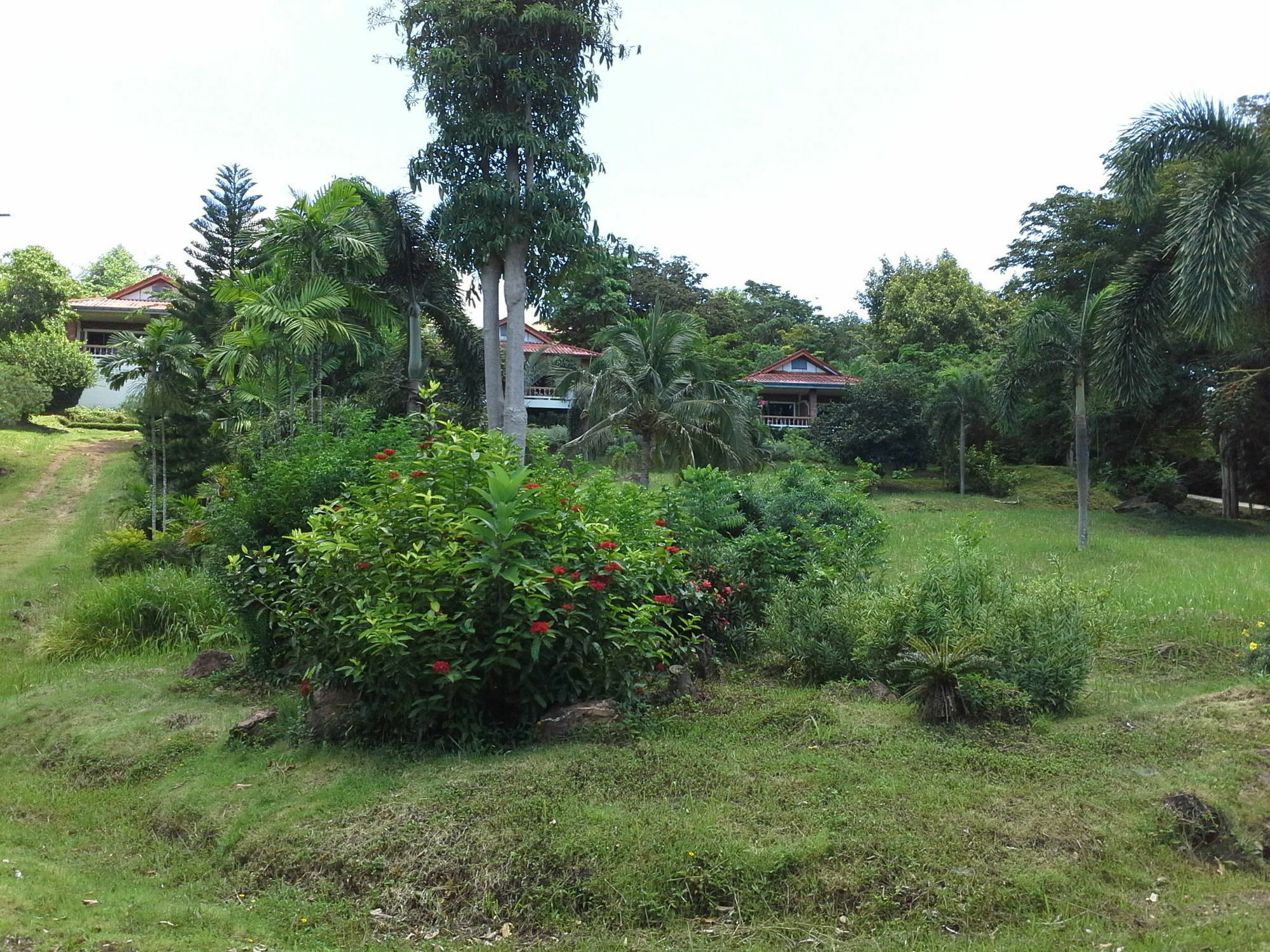 Freedom Estate Sea View Apartments Koh Lanta Bagian luar foto